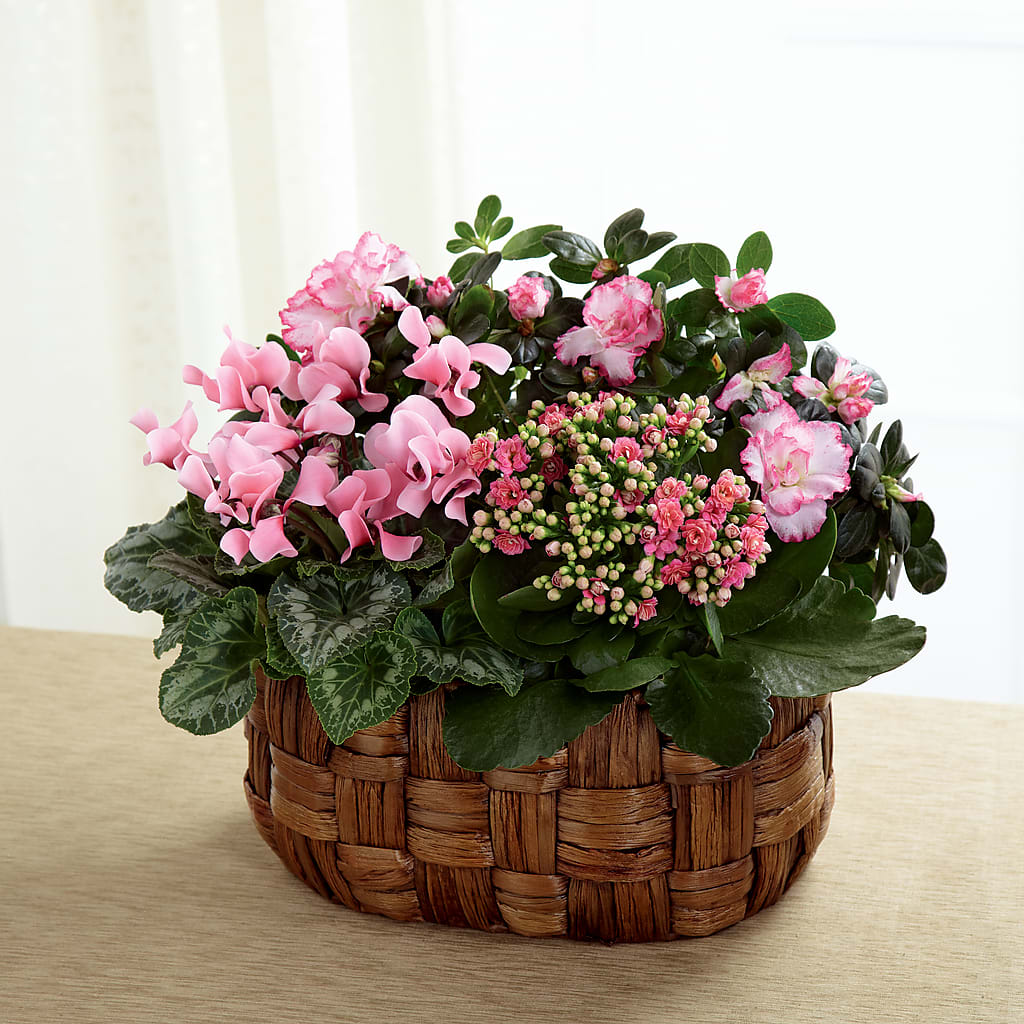Pink Assortment – Blue Poppy Flower Co, Mount Gilead OH