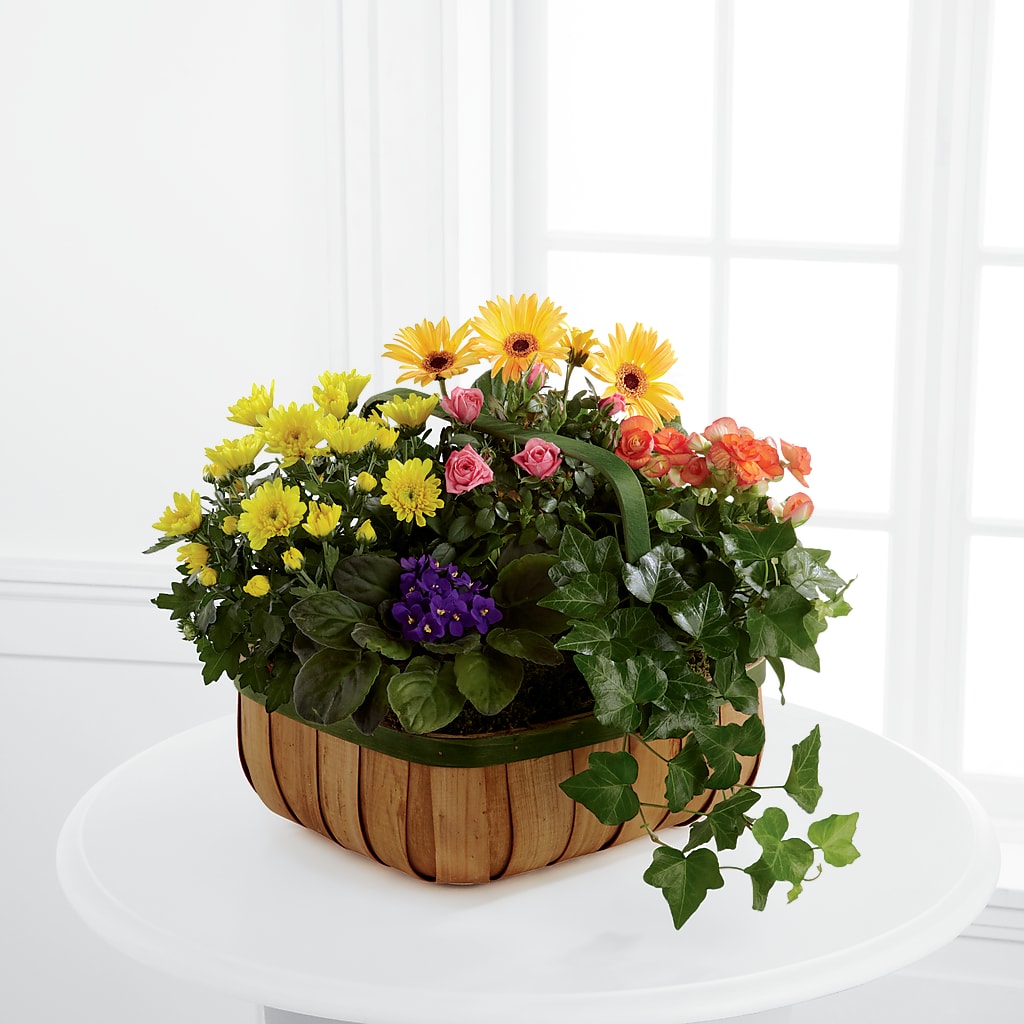 Gentle Blossoms Basket – Blue Poppy Flower Co, Mount Gilead OH