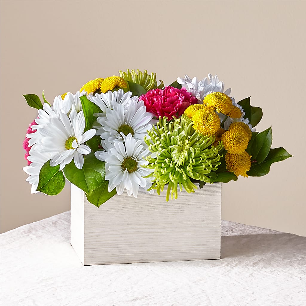 Sorbet Bouquet – Blue Poppy Flower Co, Mount Gilead OH