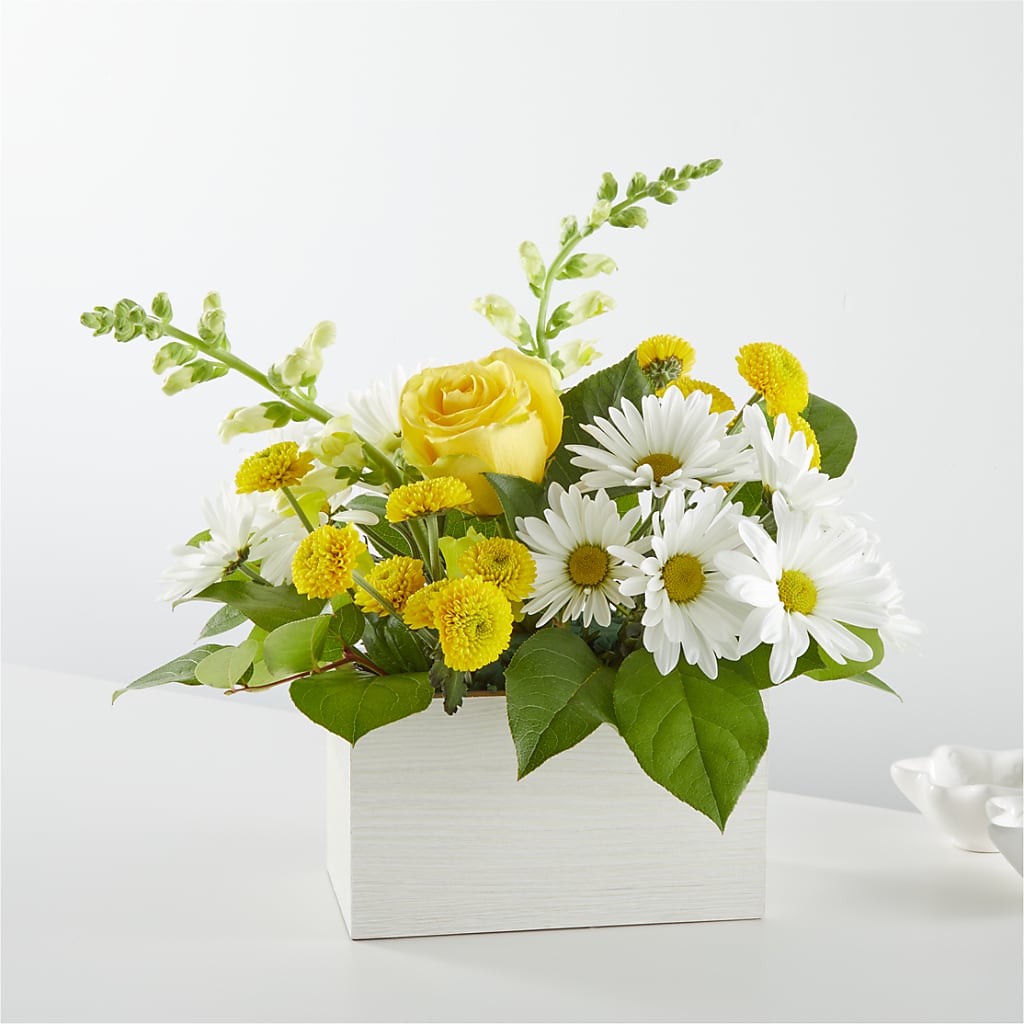 Sun Salutation Box Bouquet – Blue Poppy Flower Co, Mount Gilead OH