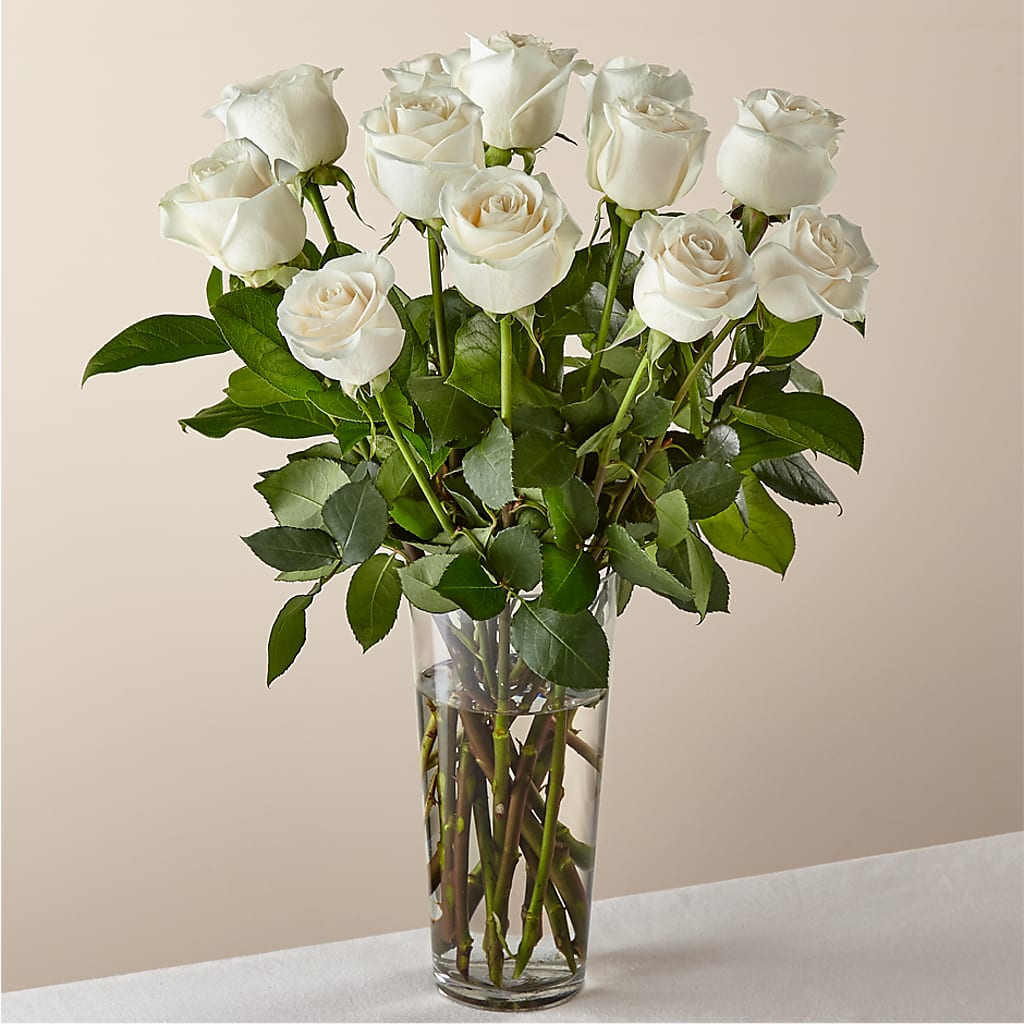 Long Stem White Rose Bouquet – Blue Poppy Flower Co, Mount Gilead OH