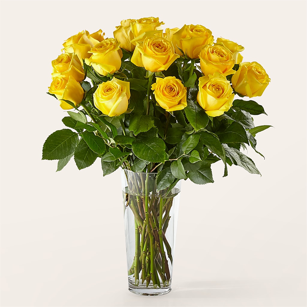 Long Stem Yellow Rose Bouquet – Blue Poppy Flower Co, Mount Gilead OH