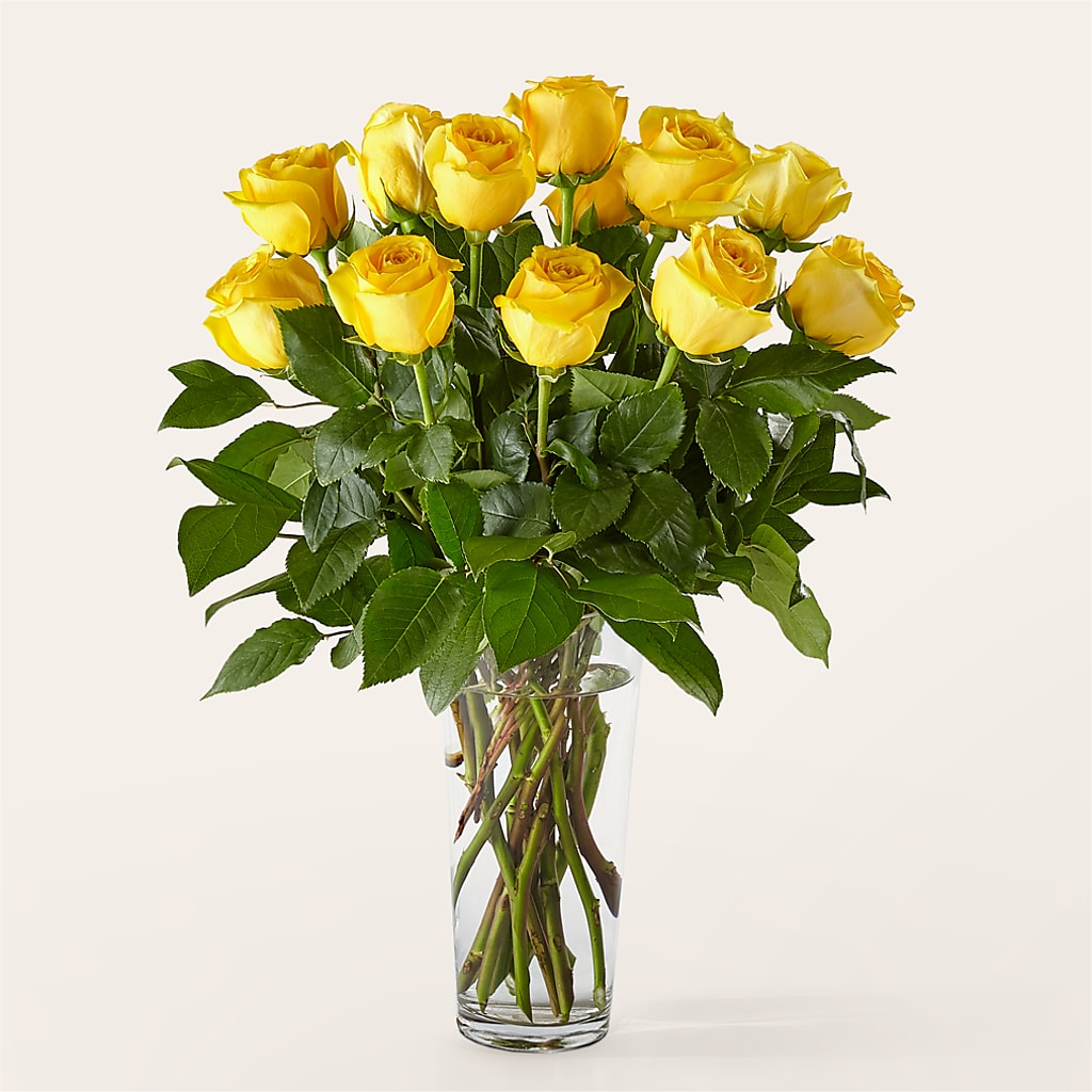 Long Stem Yellow Rose Bouquet – Blue Poppy Flower Co, Mount Gilead OH