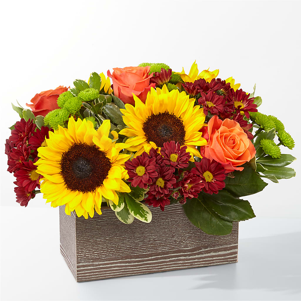 Happy Harvest Garden – Blue Poppy Flower Co, Mount Gilead OH