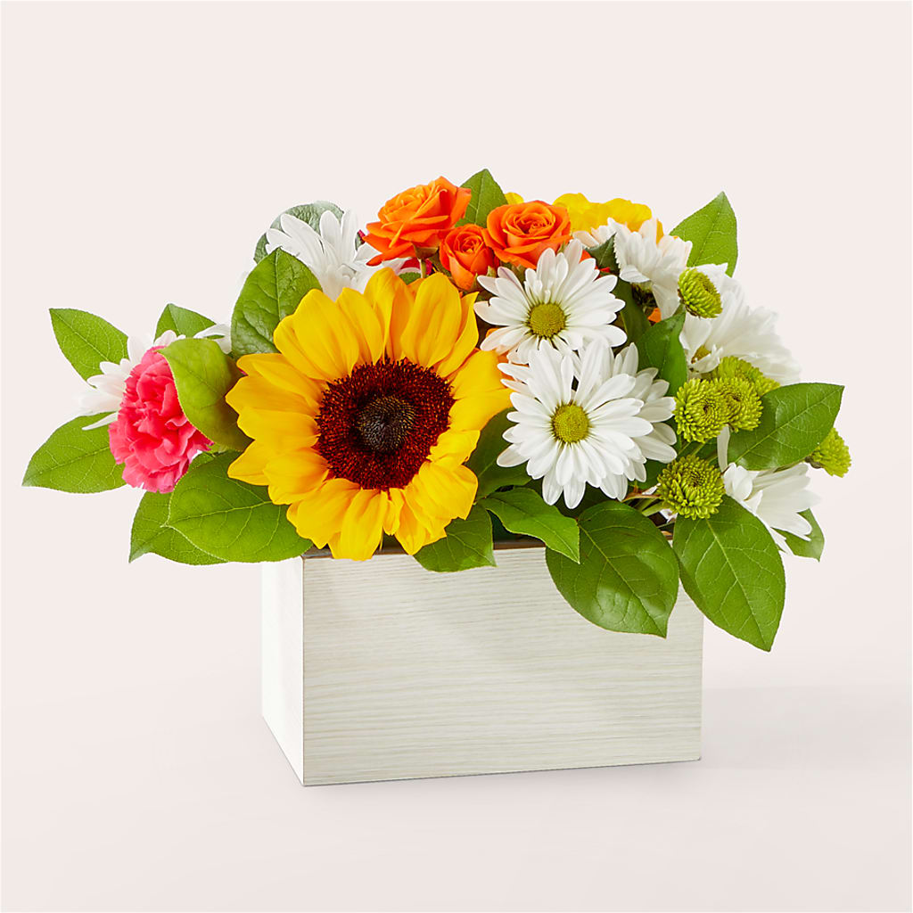 Sun-drenched Blooms Box Bouquet – Blue Poppy Flower Co, Mount Gilead OH