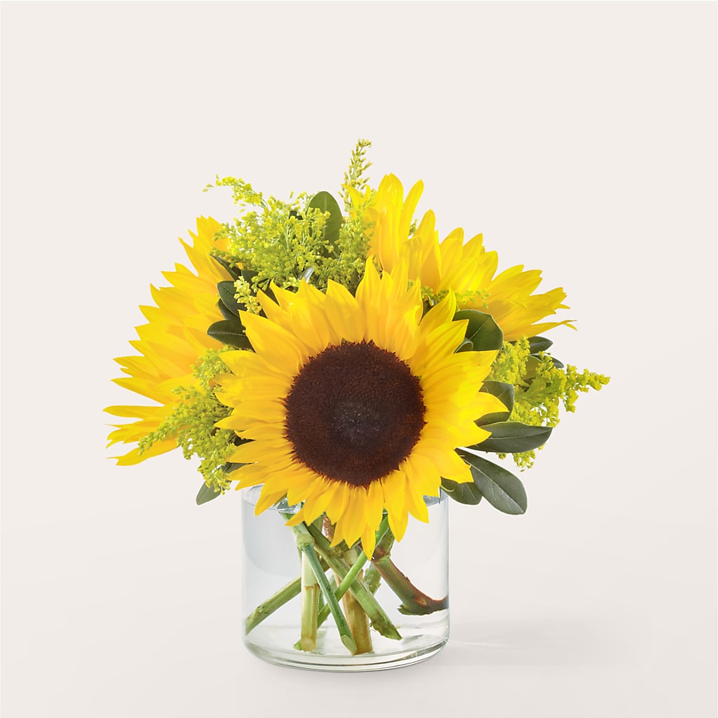 Beaming Sunflower Bouquet – Blue Poppy Flower Co, Mount Gilead OH