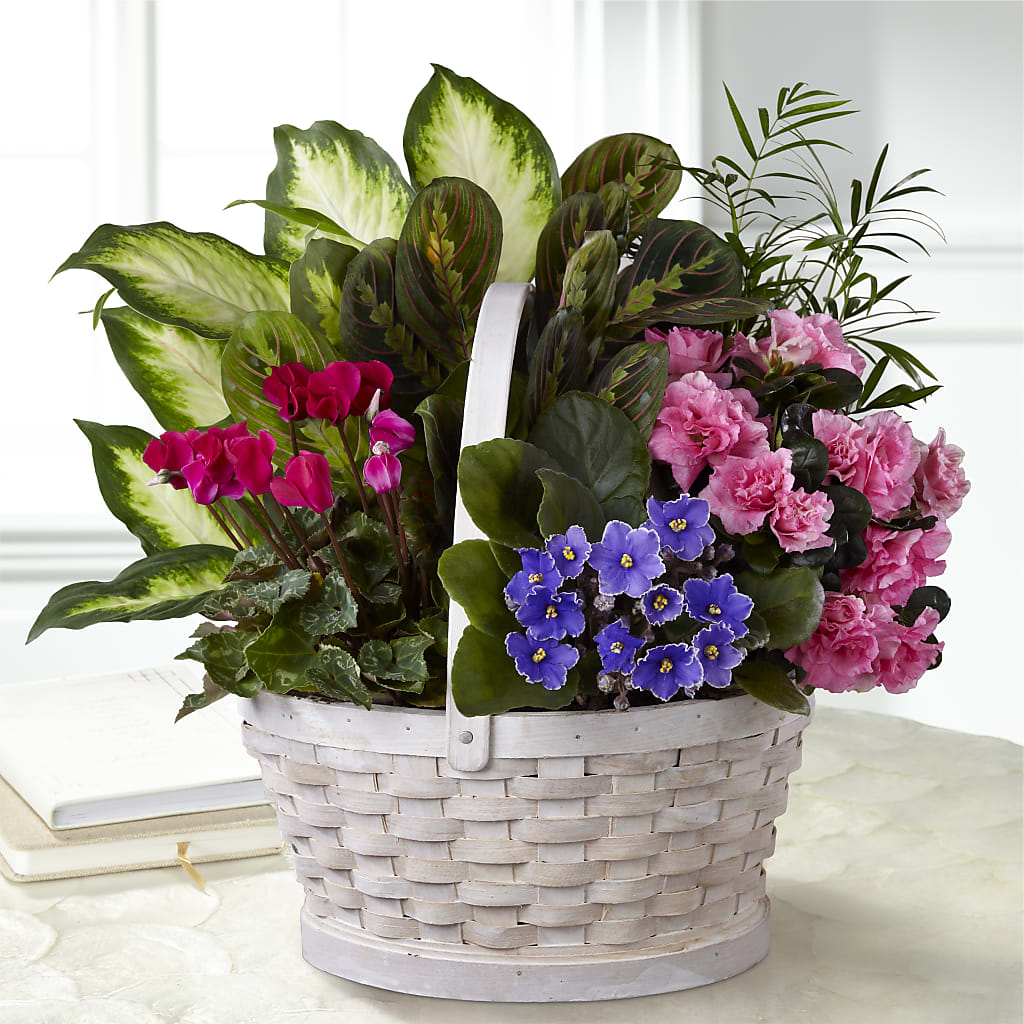 Peaceful Garden Planter – Blue Poppy Flower Co, Mount Gilead OH