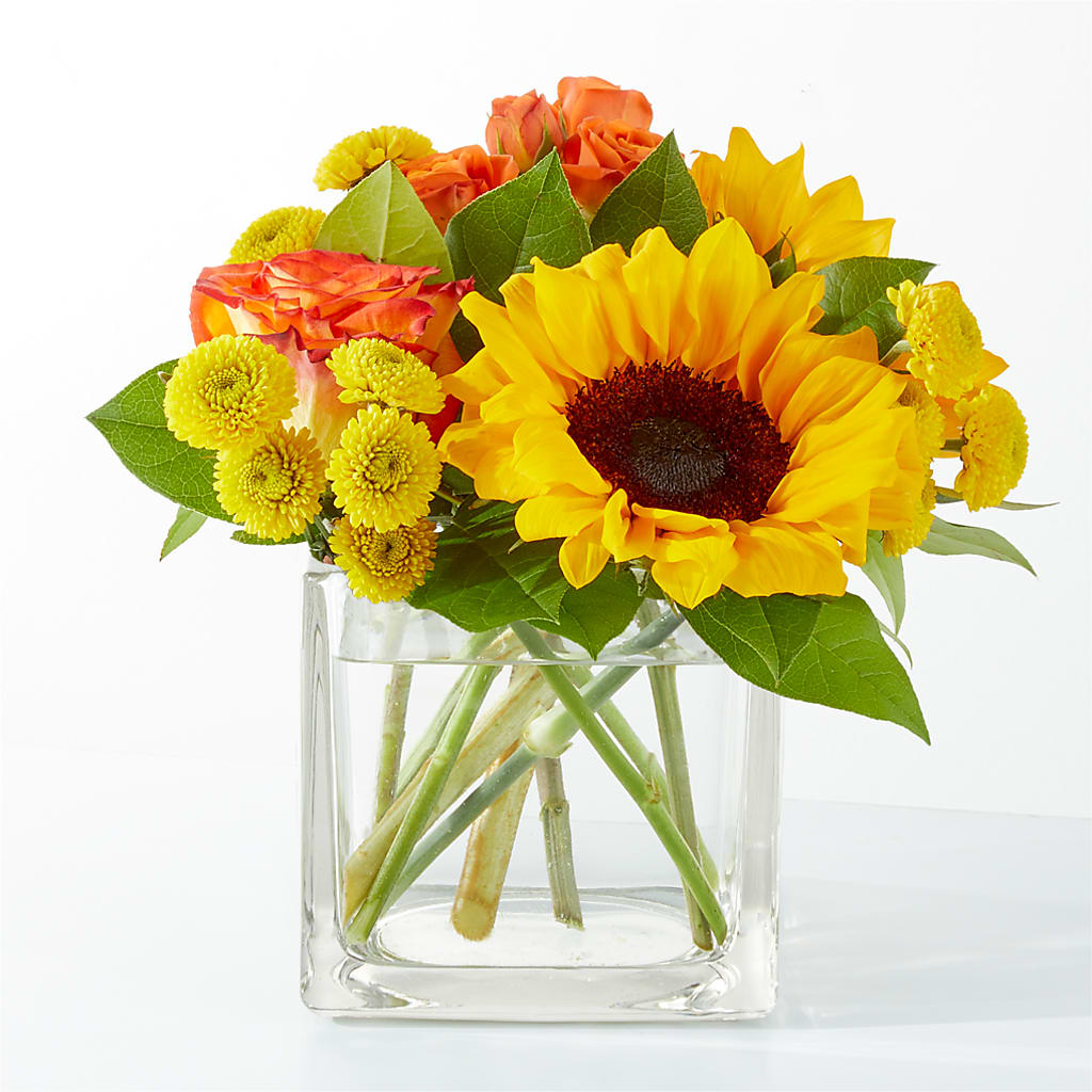 Picnic in the Park Bouquet – Blue Poppy Flower Co, Mount Gilead OH