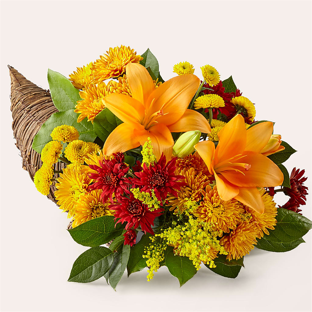 Feast of Color Cornucopia – Blue Poppy Flower Co, Mount Gilead OH