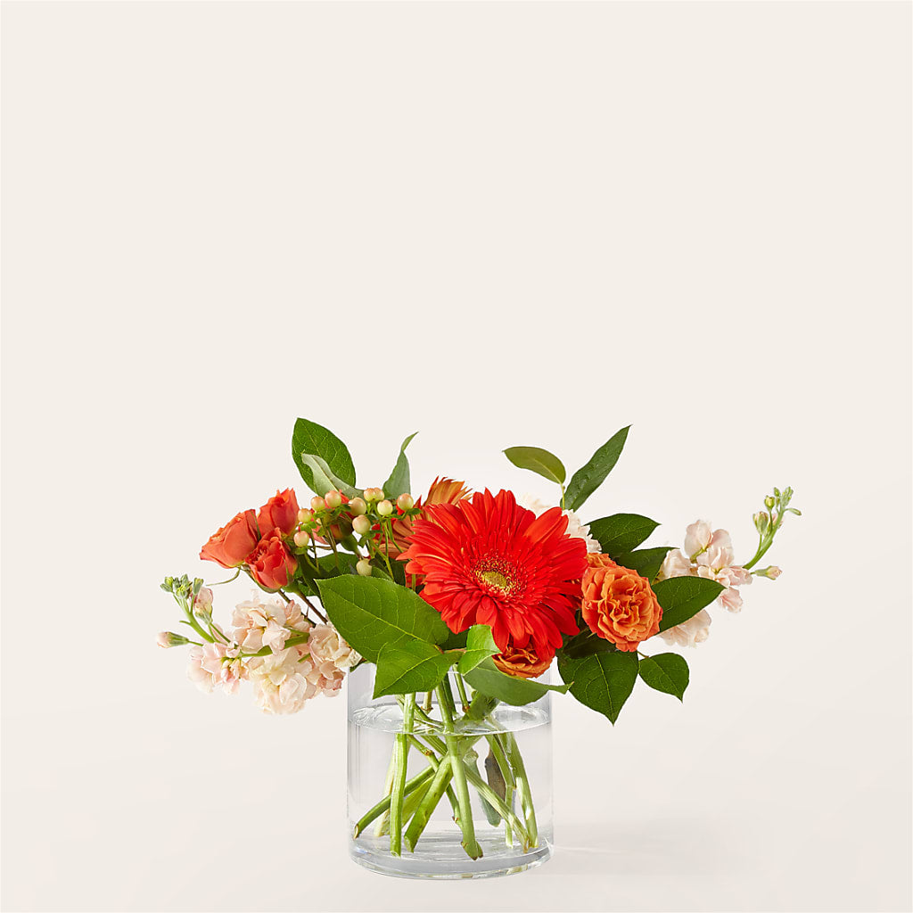 Paloma Please Bouquet – Blue Poppy Flower Co, Mount Gilead OH