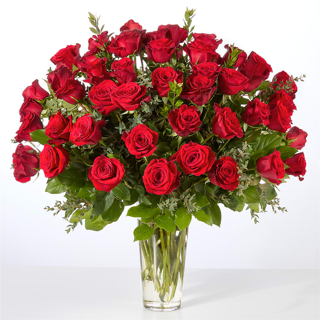 Forever Yours Fifty Stem Red Rose Bouquet – Blue Poppy Flower Co, Mount Gilead OH
