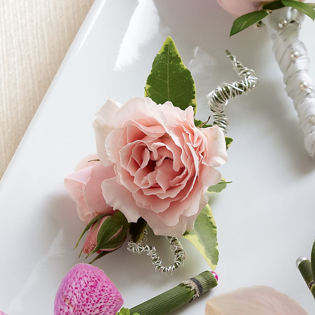 Pink Spray Rose Boutonniere – Blue Poppy Flower Co, Mount Gilead OH