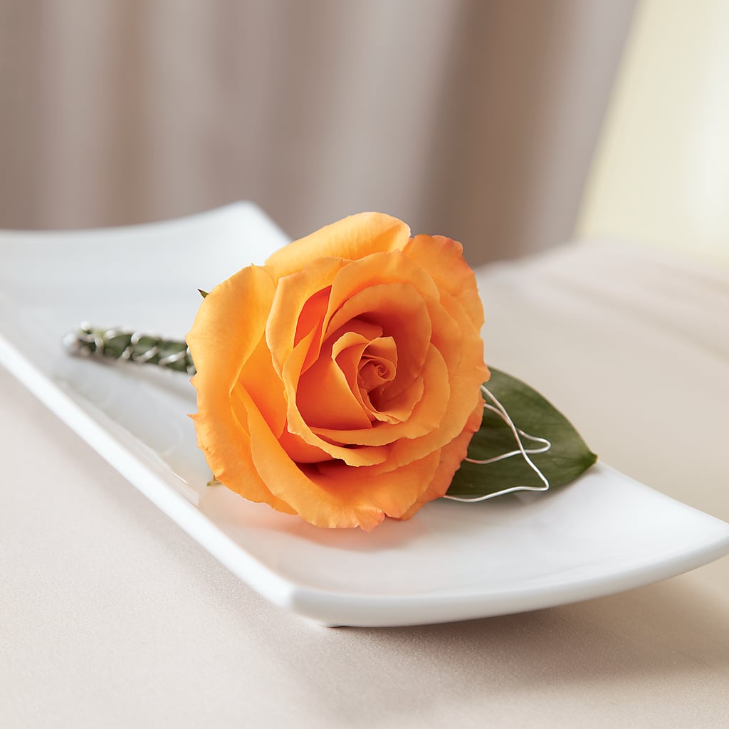 Lifetime of Love Boutonniere – Blue Poppy Flower Co, Mount Gilead OH