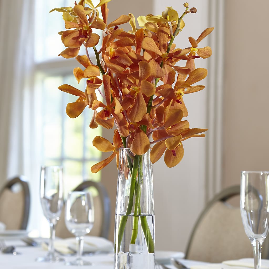 Orange Mokara Bud Vase – Blue Poppy Flower Co, Mount Gilead OH