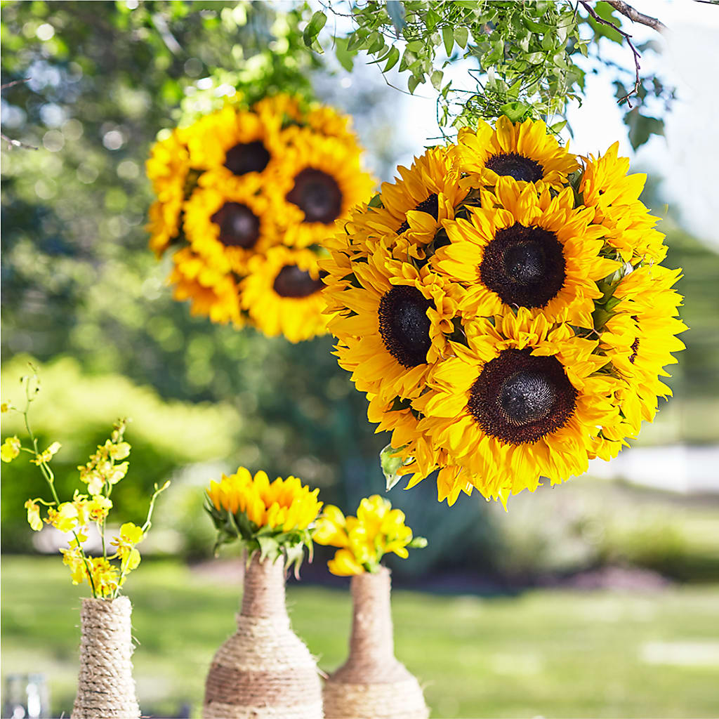 Sublime Garden Hanging Arrangement – Blue Poppy Flower Co, Mount Gilead OH