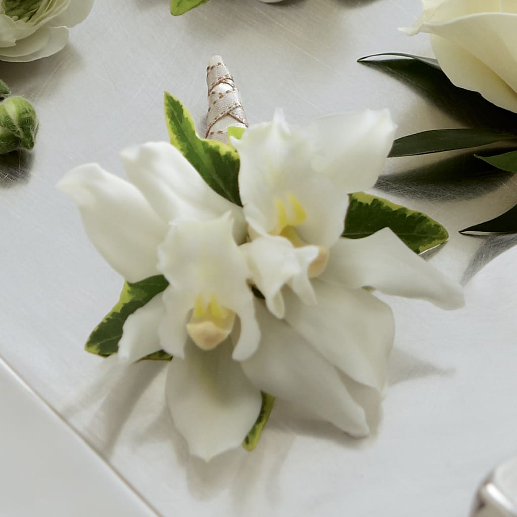 White Mini Cymbidium Boutonniere – Blue Poppy Flower Co, Mount Gilead OH