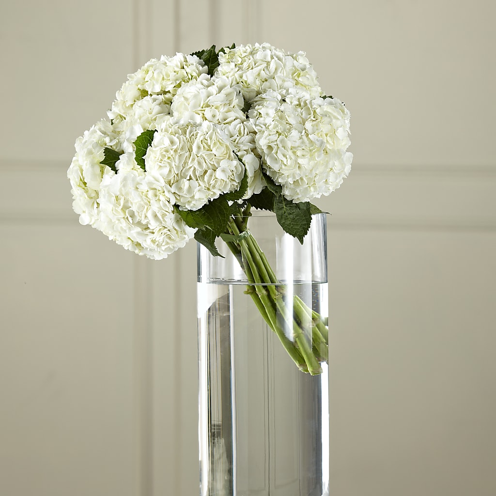 White Hydrangea Hand-Tied Bouquet – Blue Poppy Flower Co, Mount Gilead OH