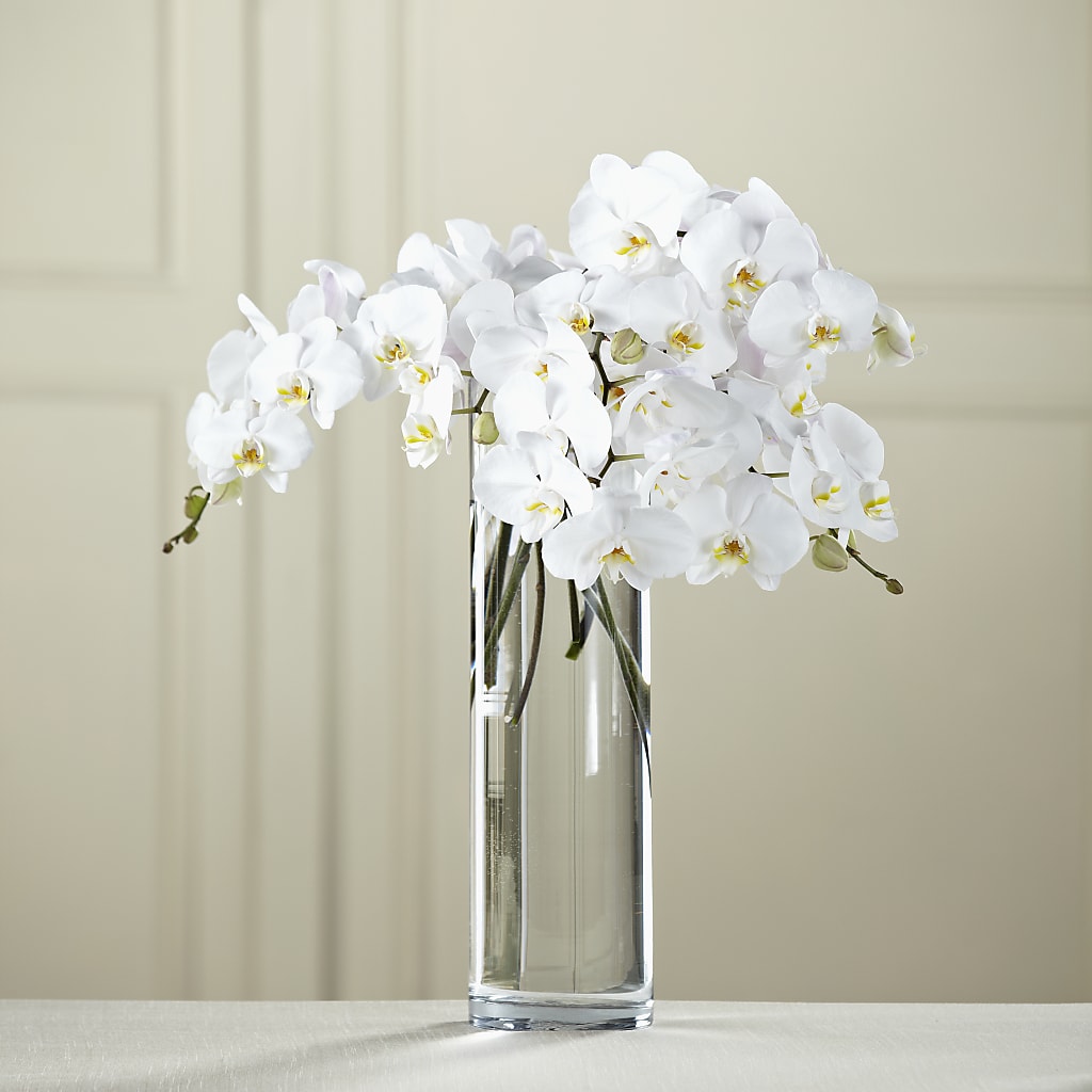 White Phalaenopsis Bouquet – Blue Poppy Flower Co, Mount Gilead OH