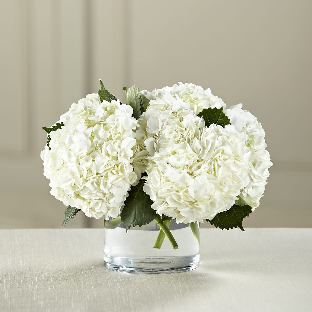 White Hydrangea Bouquet – Blue Poppy Flower Co, Mount Gilead OH