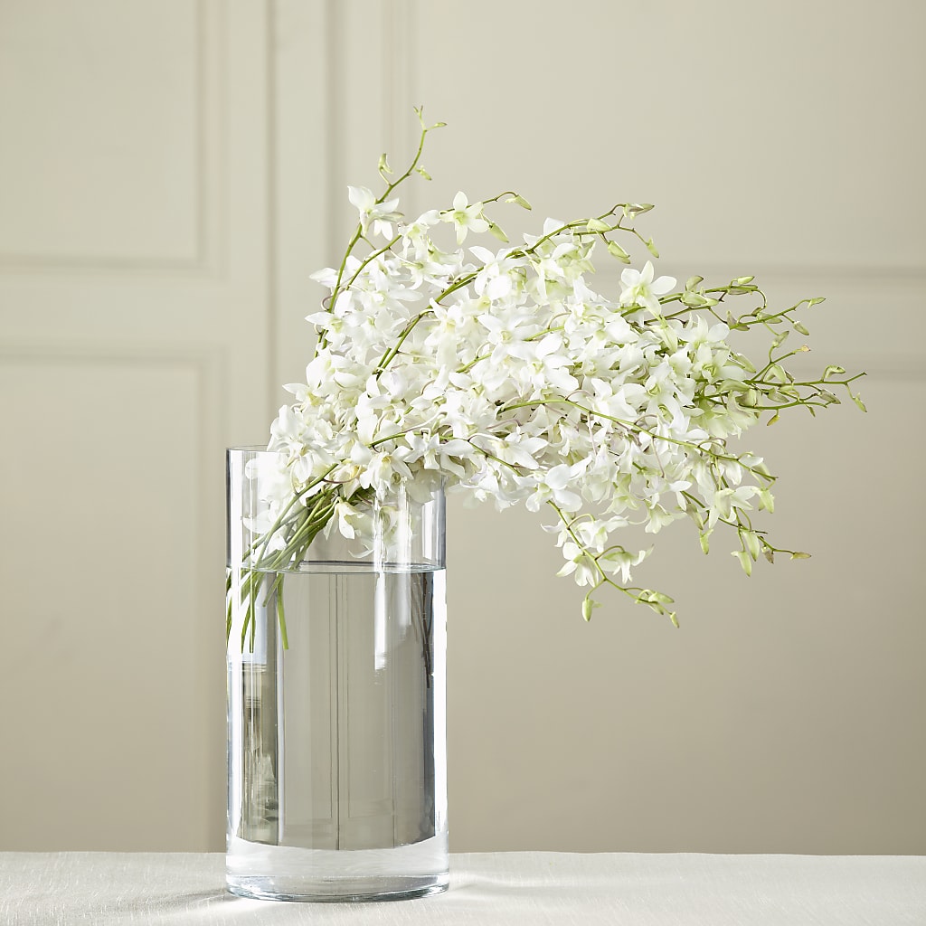 White Dendrobium Bouquet – Blue Poppy Flower Co, Mount Gilead OH