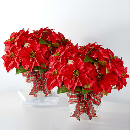 Happiest Holidays Poinsettia Bundle –  Blue Poppy Flower Co, Mount Gilead OH