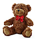 Adorable Plush Bear –  Blue Poppy Flower Co, Mount Gilead OH