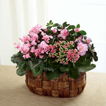 Pink Assortment –  Blue Poppy Flower Co, Mount Gilead OH
