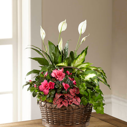 Dream in Pink Dishgarden –  Blue Poppy Flower Co, Mount Gilead OH