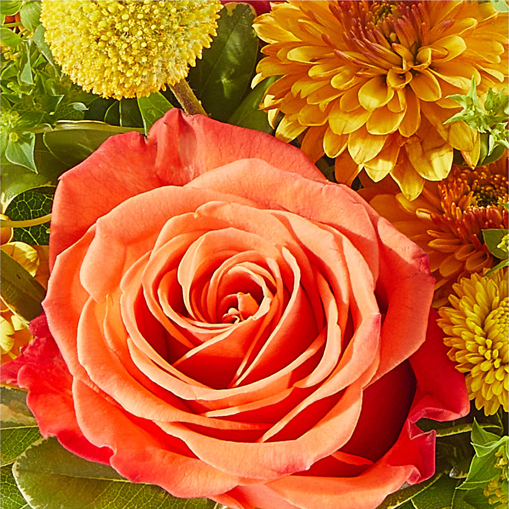 Gourdgeous Pumpkin –  Blue Poppy Flower Co, Mount Gilead OH