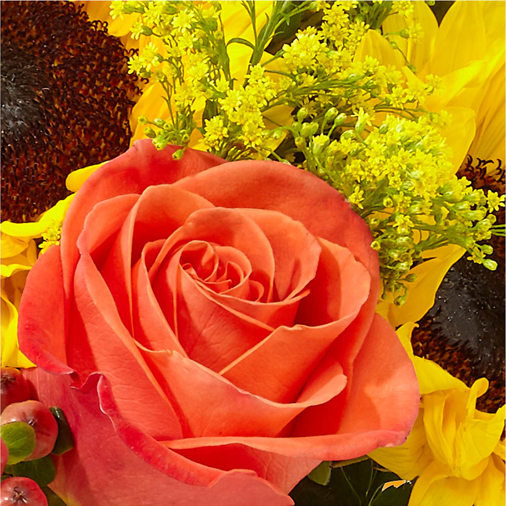 Pick of the Patch Pumpkin Bouquet –  Blue Poppy Flower Co, Mount Gilead OH