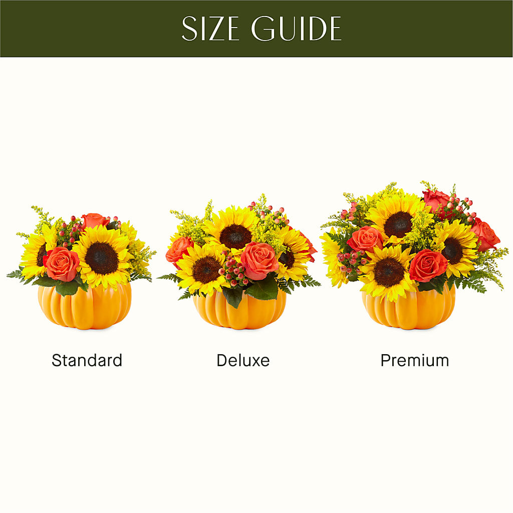 Pick of the Patch Pumpkin Bouquet –  Blue Poppy Flower Co, Mount Gilead OH
