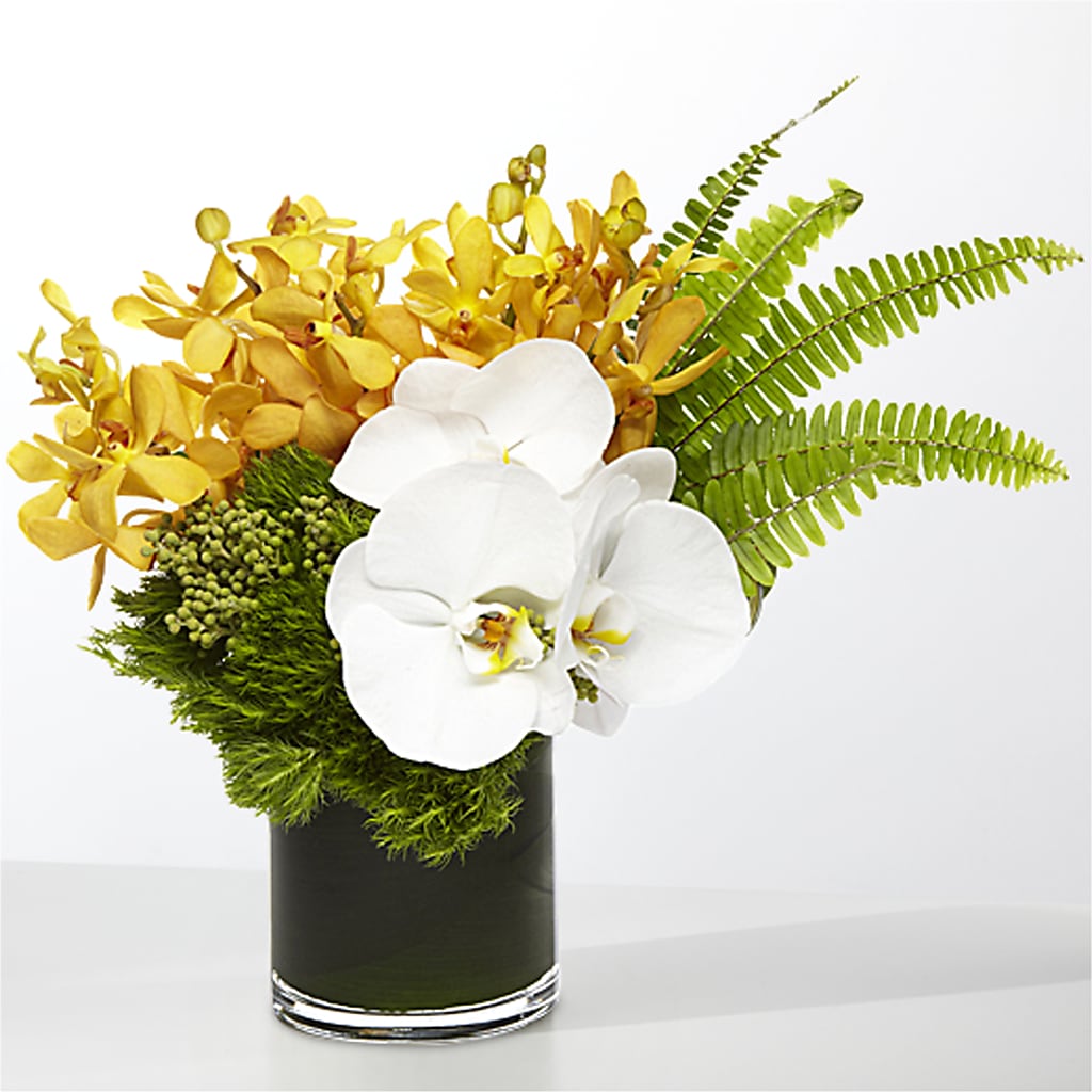 The Tropics –  Blue Poppy Flower Co, Mount Gilead OH