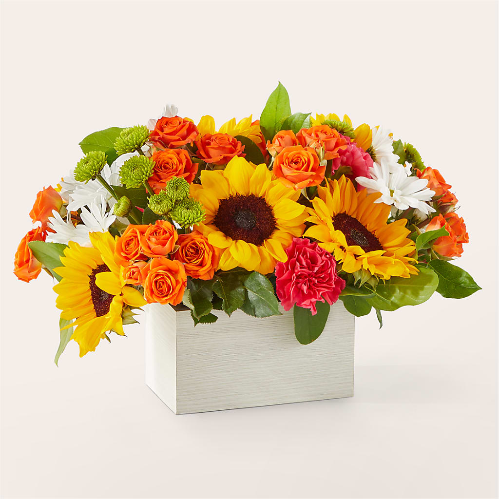 Sun-drenched Blooms Box Bouquet –  Blue Poppy Flower Co, Mount Gilead OH