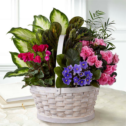 Peaceful Garden Planter –  Blue Poppy Flower Co, Mount Gilead OH
