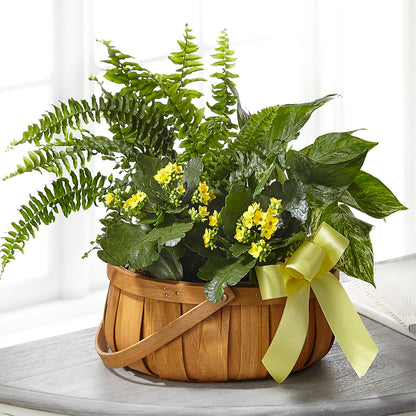 Always Dear Dishgarden –  Blue Poppy Flower Co, Mount Gilead OH