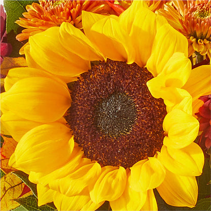 Sunny Side Bouquet –  Blue Poppy Flower Co, Mount Gilead OH