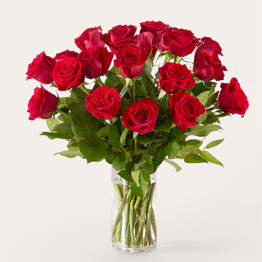 The One Red Rose Bouquet –  Blue Poppy Flower Co, Mount Gilead OH