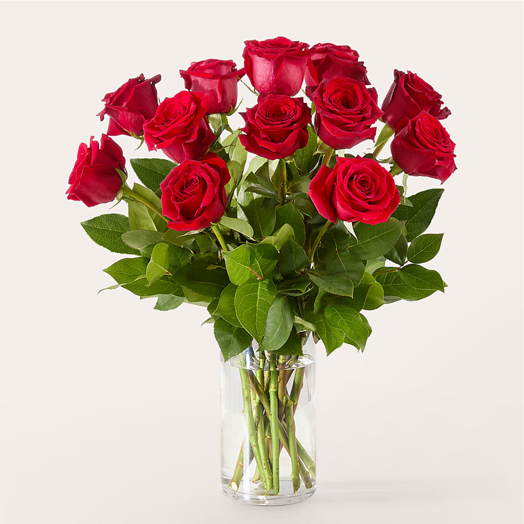 The One Red Rose Bouquet –  Blue Poppy Flower Co, Mount Gilead OH