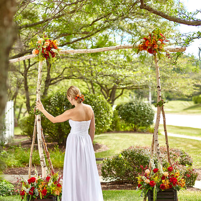 Arbor of Love Archway –  Blue Poppy Flower Co, Mount Gilead OH