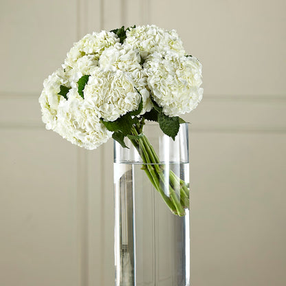 White Hydrangea Hand-Tied Bouquet –  Blue Poppy Flower Co, Mount Gilead OH