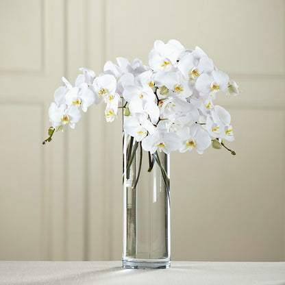 White Phalaenopsis Bouquet –  Blue Poppy Flower Co, Mount Gilead OH