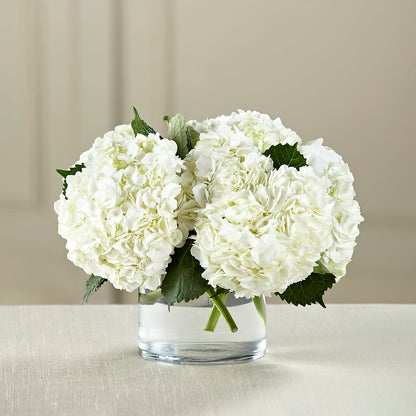 White Hydrangea Bouquet –  Blue Poppy Flower Co, Mount Gilead OH
